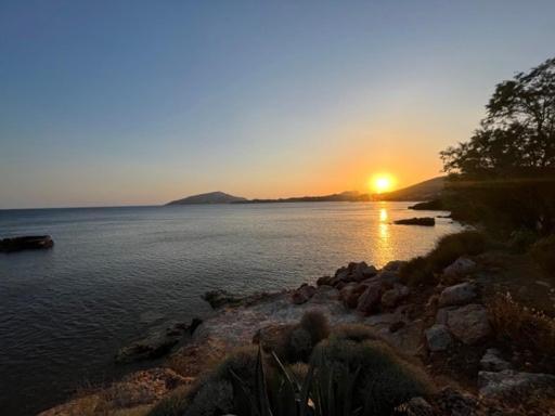 Sounio Studio Sounion Eksteriør billede